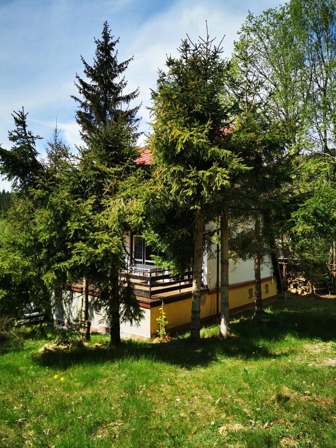 Villa Wojtowka 16 Lądek-Zdrój Exterior foto